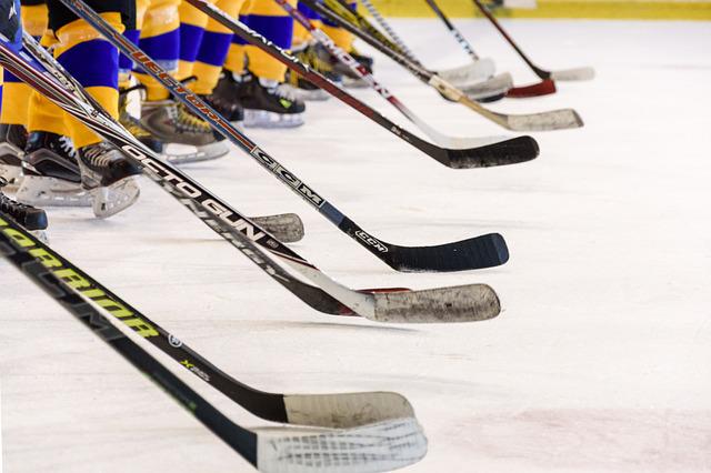 Conseils et stratégies de paris sur le hockey sur glace : le guide ultime
